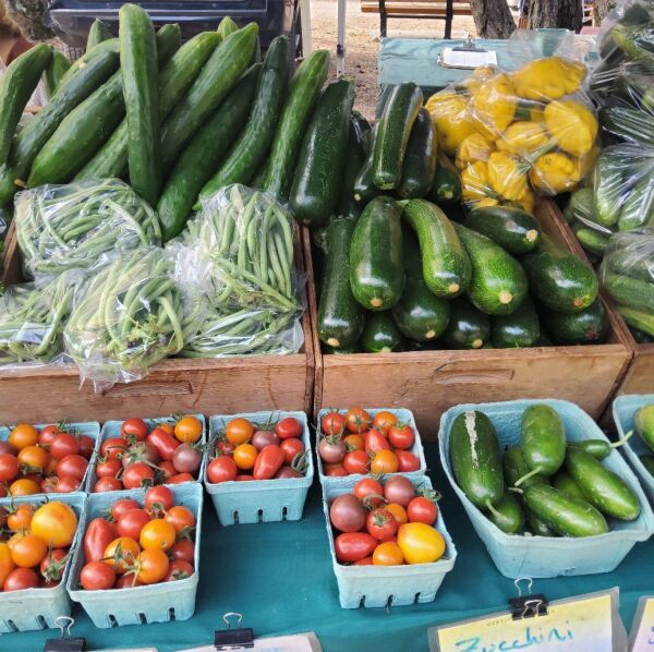 A Morning at Celista Farmers’ Market: Community, Connection, and the Joy of Local Food