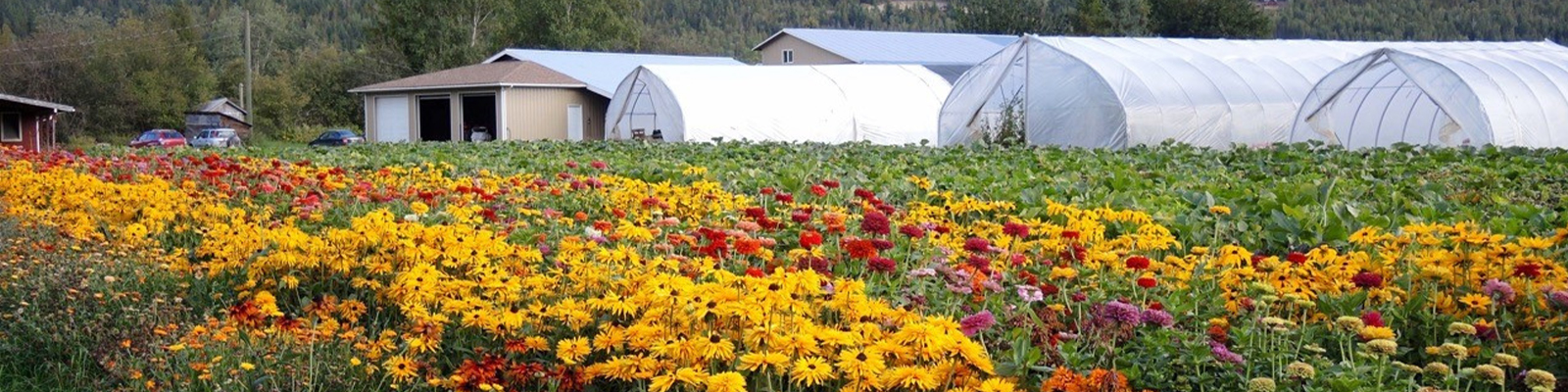Business Listing - Shuswap Food & Farm Directory